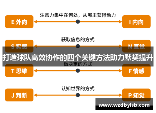 打造球队高效协作的四个关键方法助力默契提升
