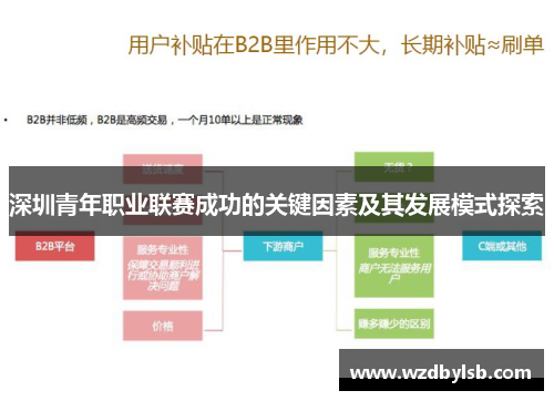 深圳青年职业联赛成功的关键因素及其发展模式探索