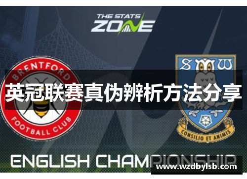 英冠联赛真伪辨析方法分享